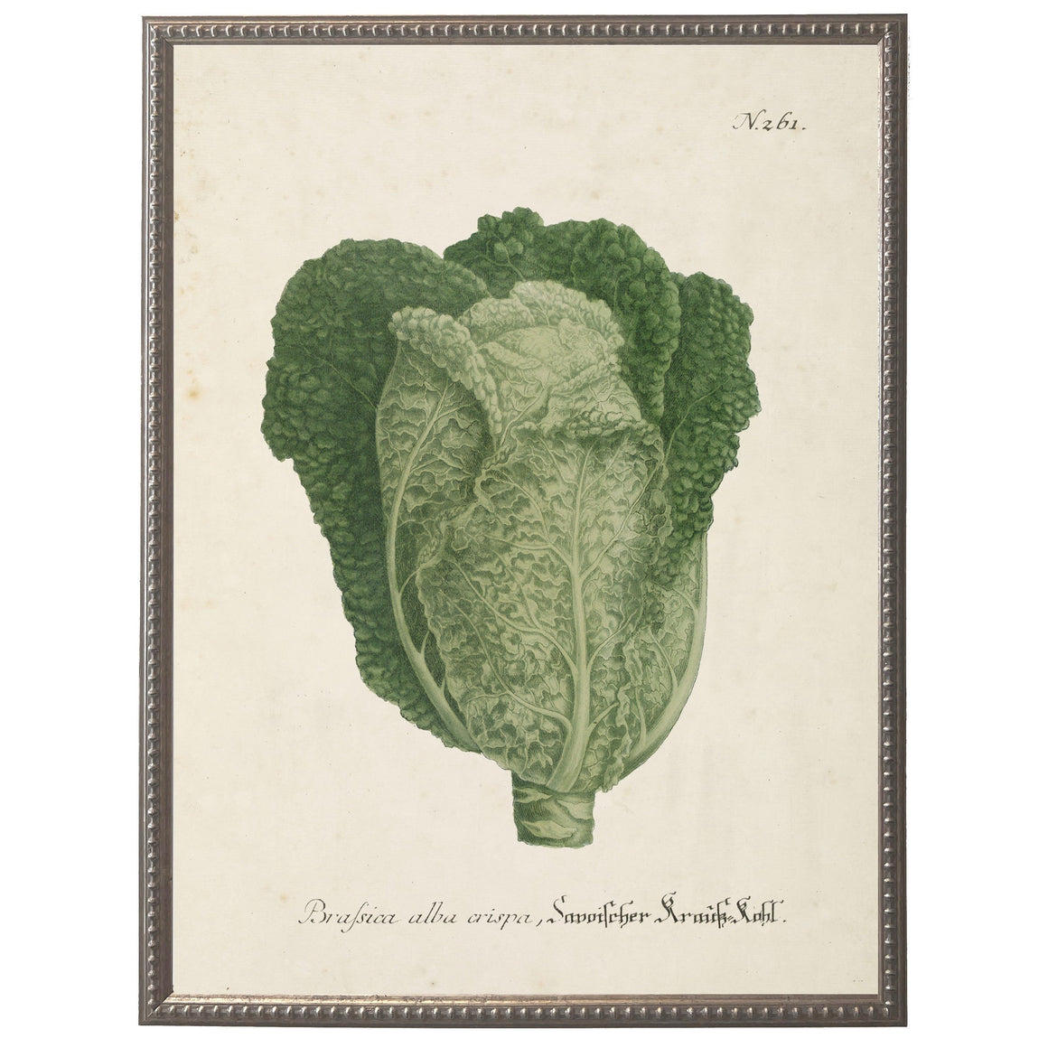 Vintage Leafy Green Bookplate w/Distressed Background
