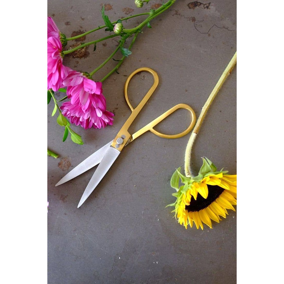 Artisan Brass Utility Scissors