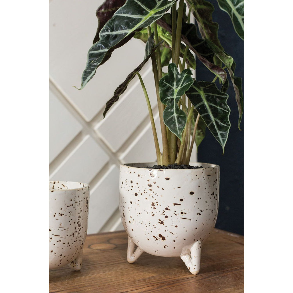Reid Pot