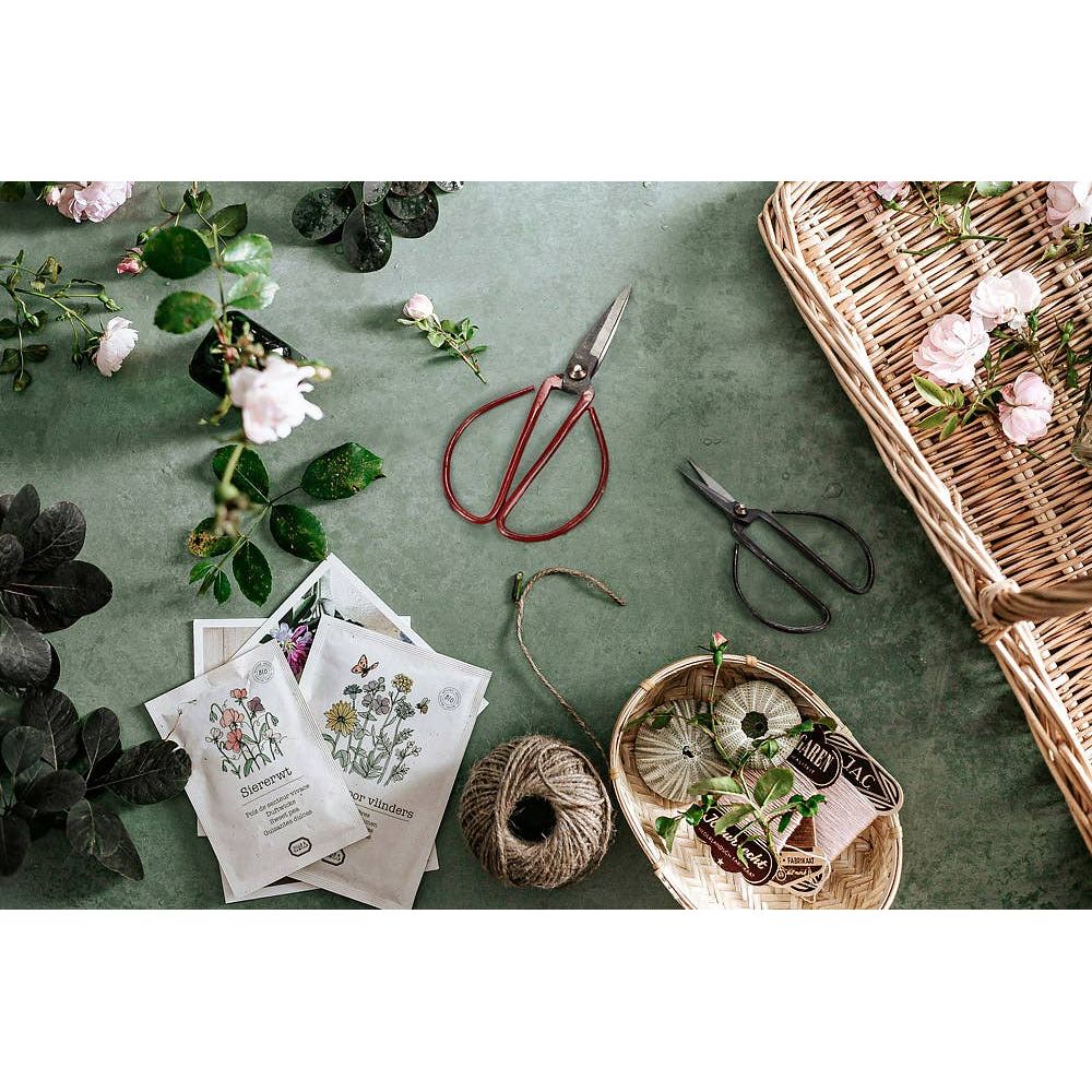 Abbott - Flower Stem Shears - 3 Asst Colors: Medium (7"L)