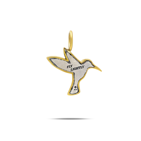 Lightwing Hummingbird Charm