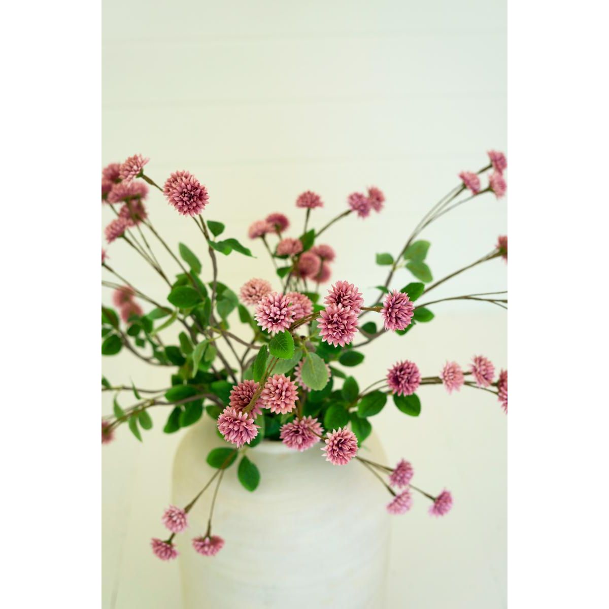 Botanica #3473