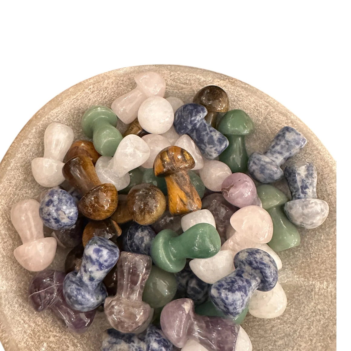 Mini Stone | Mushrooms