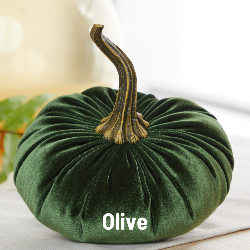 Velvet Pumpkin Large - Harvest