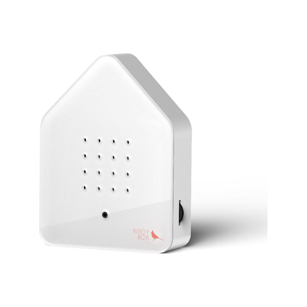 BirdyBox | Red Cardinal