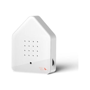 BirdyBox | Red Cardinal