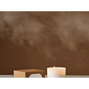 Linnea Candles 2 Wick Candles | Seasonal (Fall/Winter )