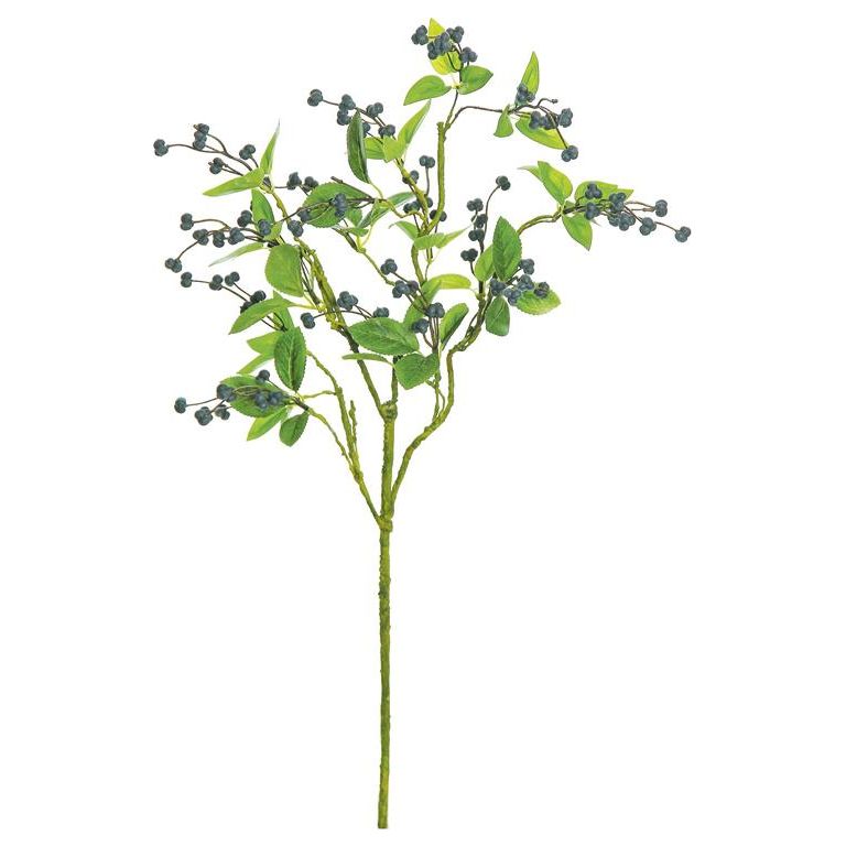 Spring Tallow Berry Spray