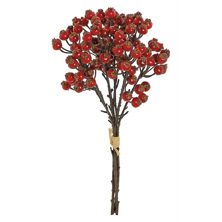 Berry Bluster Bundle | Red