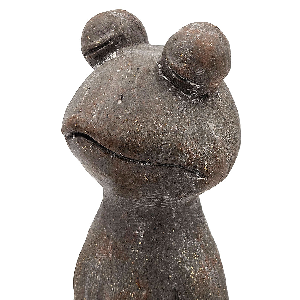 Yoga Frog