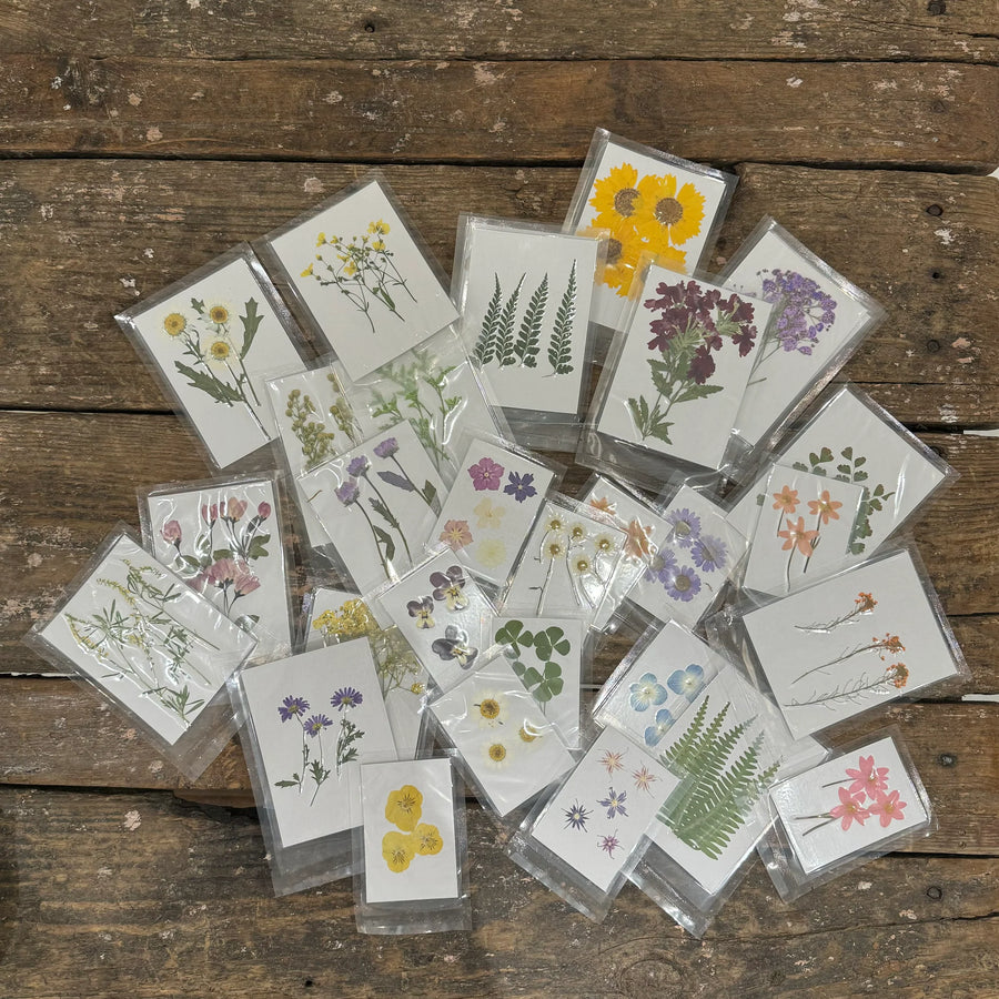 Pressed Botanical Collection