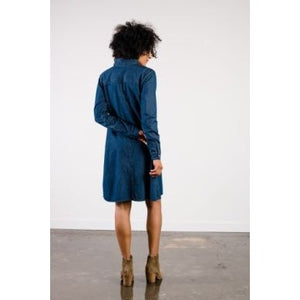 Kate Denim Swing Dress