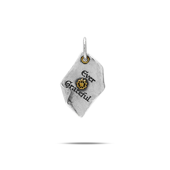Chapters of Life Charms