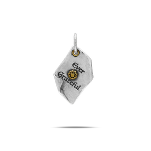 Chapters of Life Charms