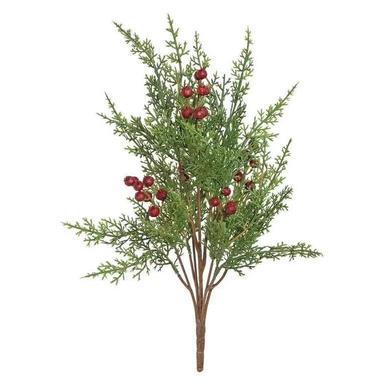 Soft Cedar Bush with Red Berries