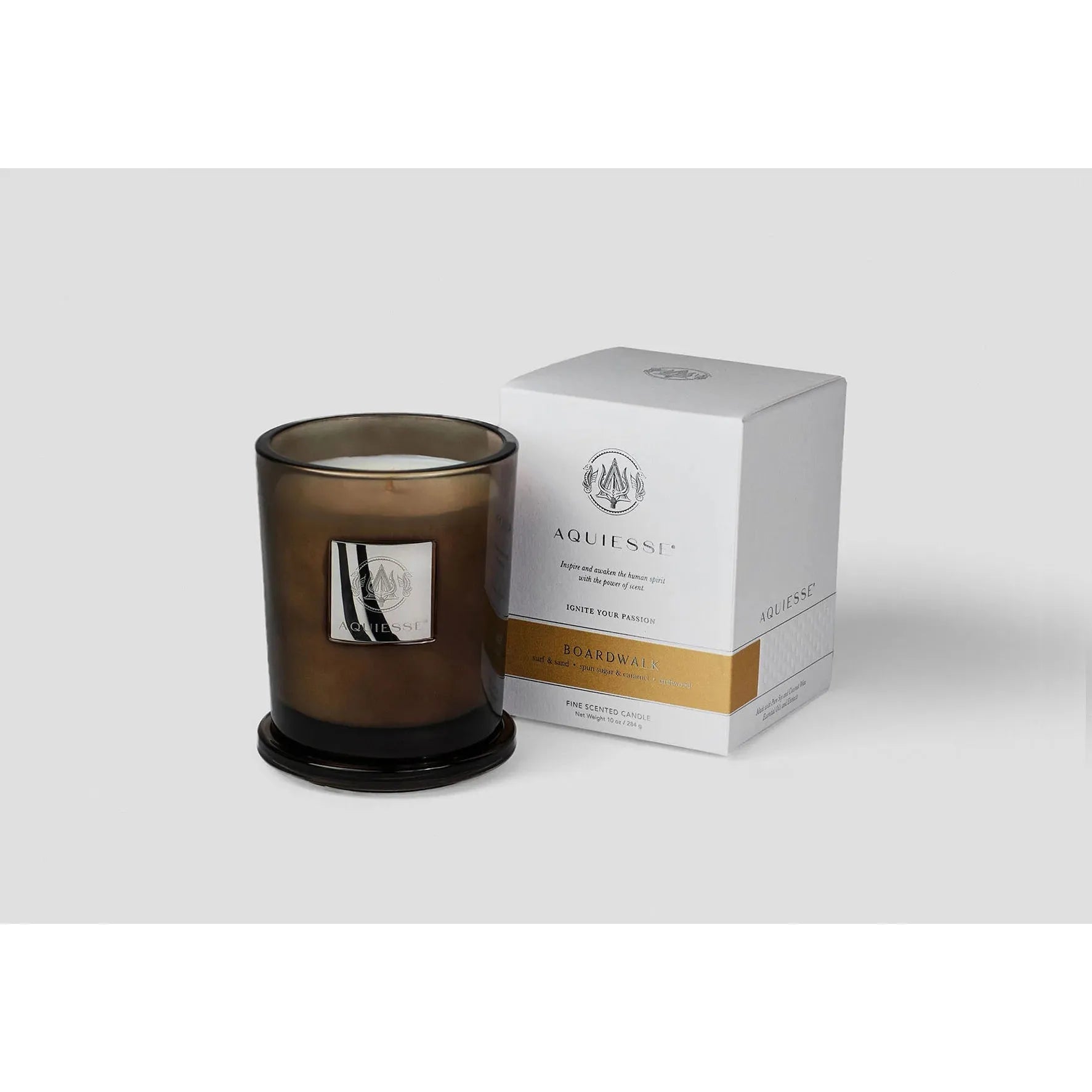 Aquiesse Portfolio Candle | Large (10 oz)