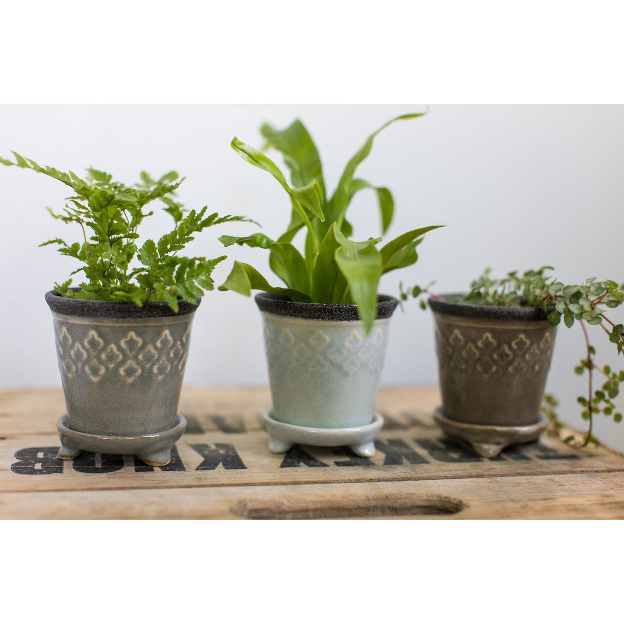 Harper Pot | Mini