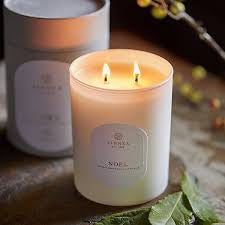 Linnea Candles 2 Wick Candles | Seasonal (Fall/Winter )