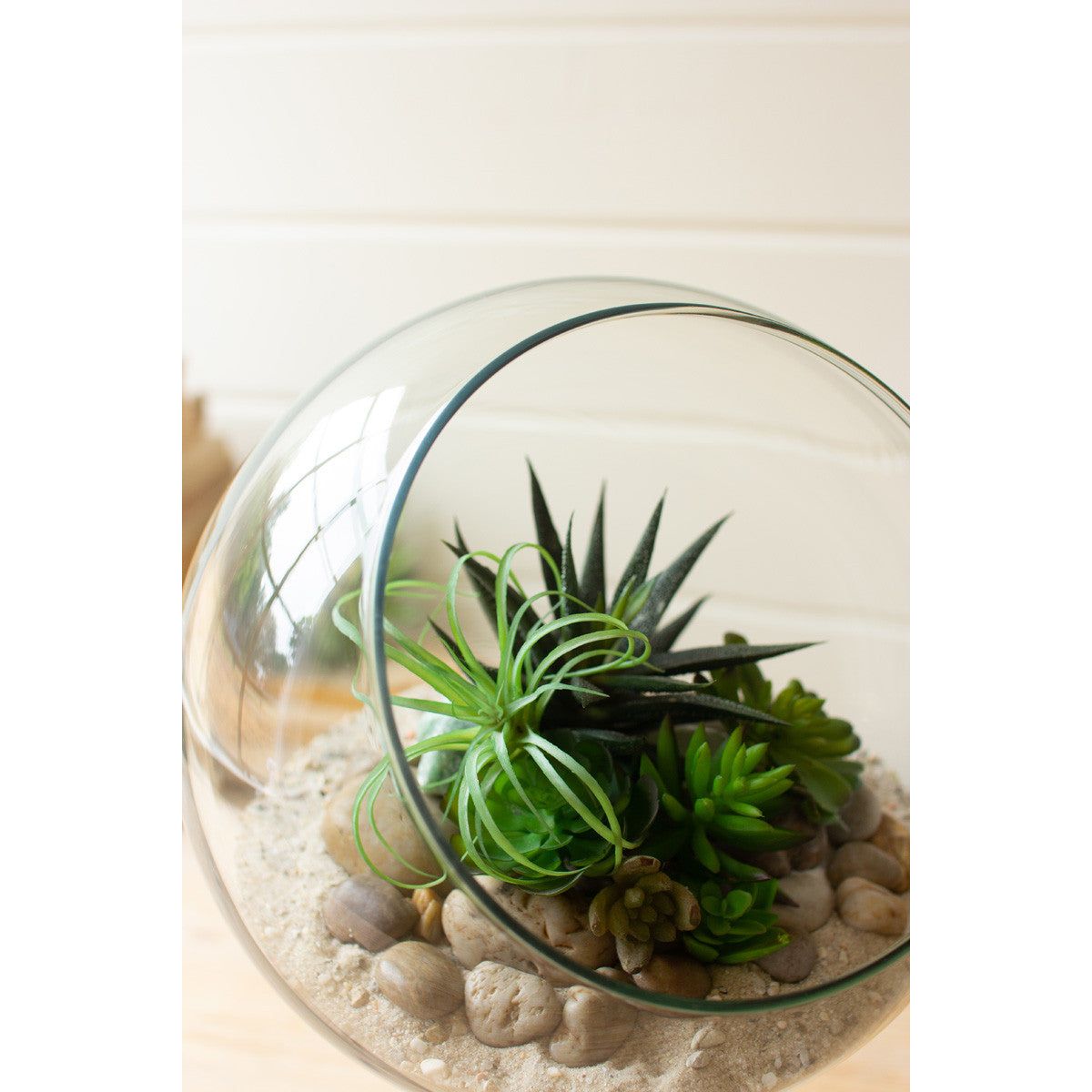 live plant glass terrarium Round Glass Terrarium / Display – Moss & Embers
