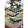 S/3 Bat Stakes