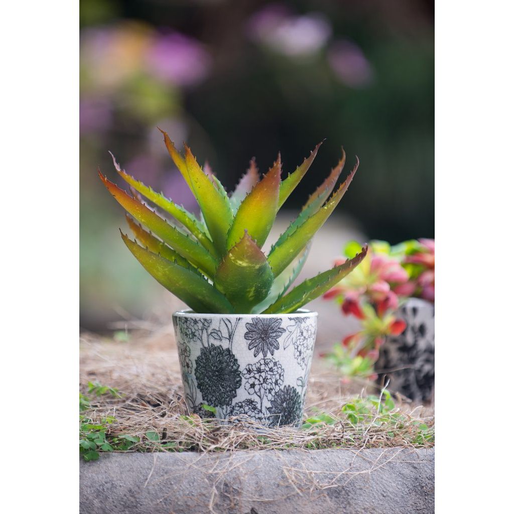 Black & White Floral Terracotta Planter