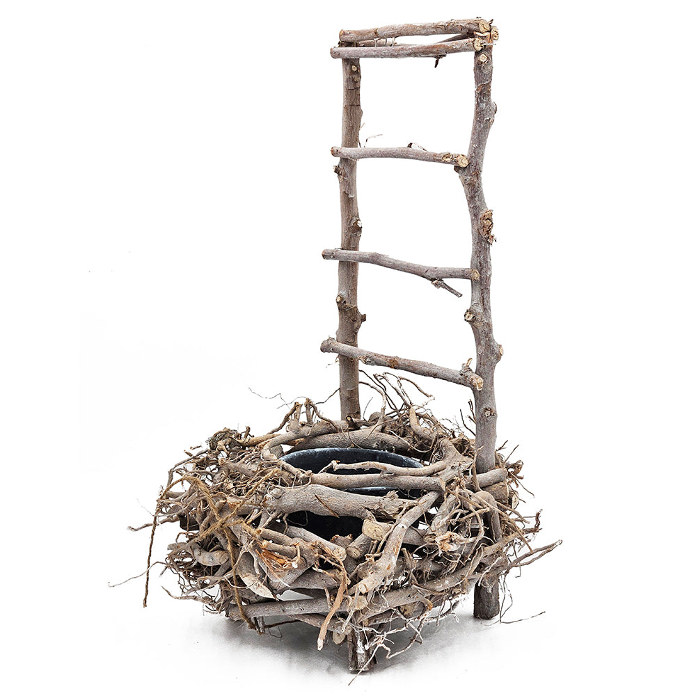 Bird Nest Planter