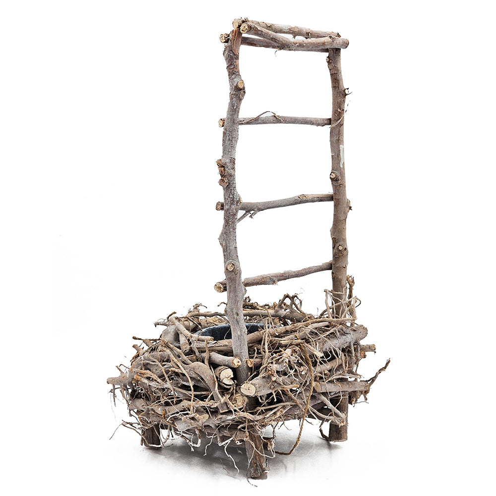 Bird Nest Planter