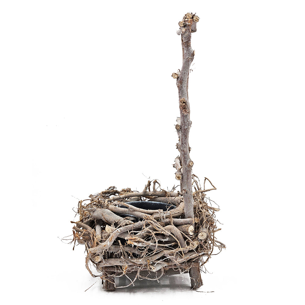 Bird Nest Planter