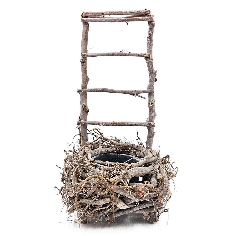 Bird Nest Planter
