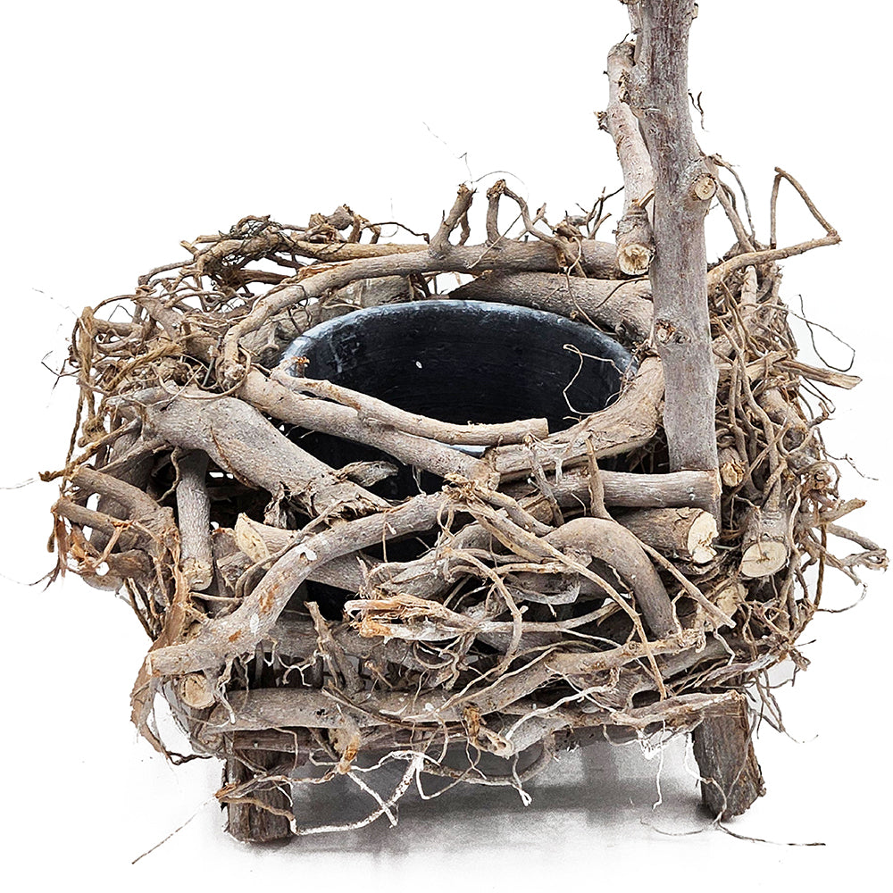 Bird Nest Planter