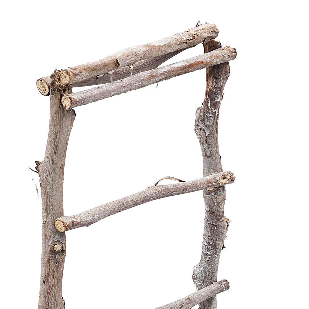 Bird Nest Planter