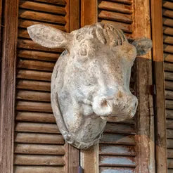 Decorative Weathered Cow Head