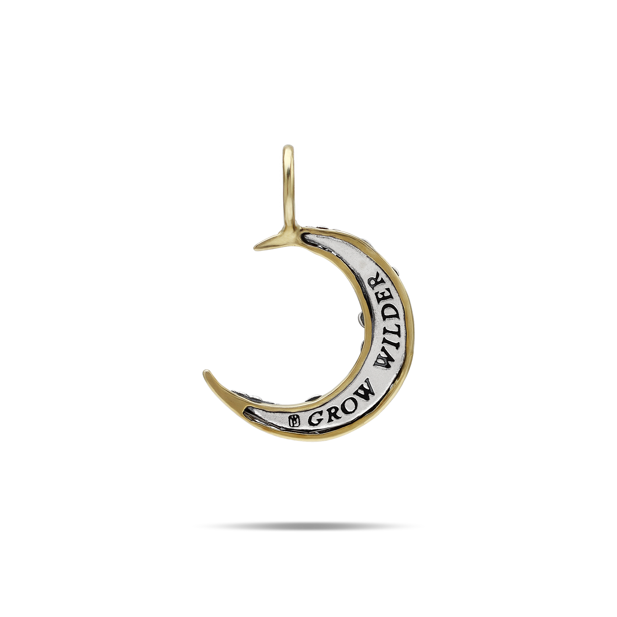 Wild Moon Pendant