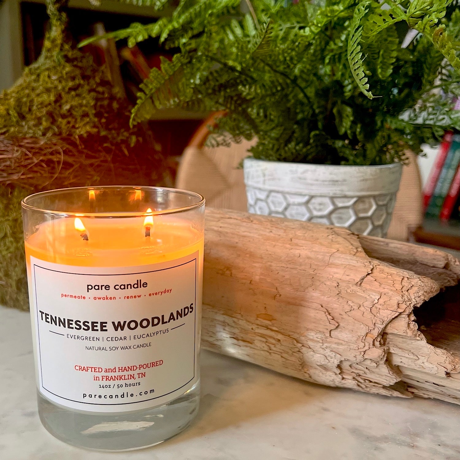 Pare Candle Collection | 14 oz Glass Vessel