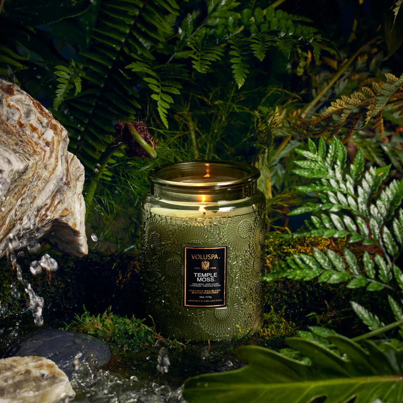 Voluspa Large Jar Candle