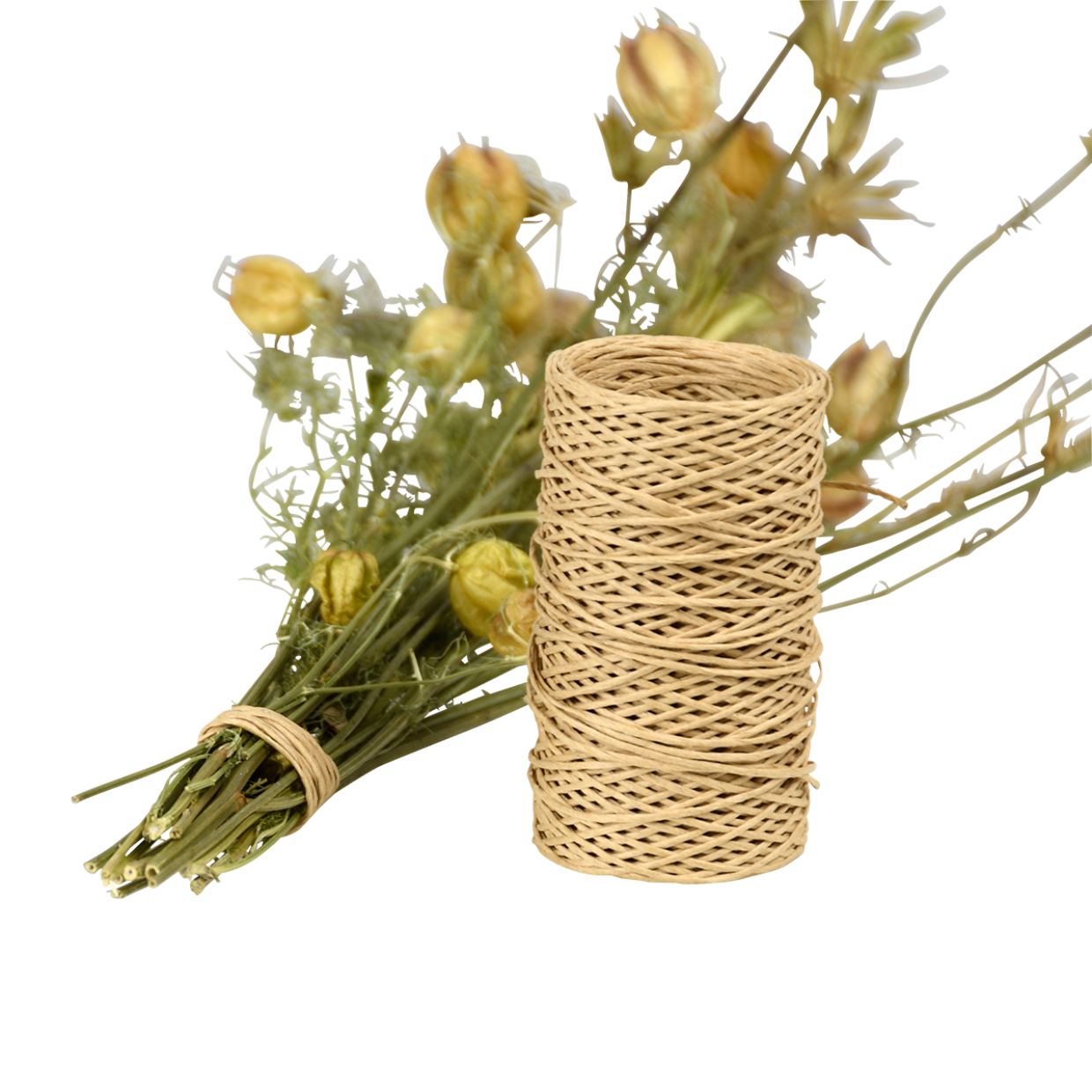 Paperstring Dispenser