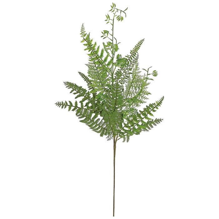 Mixed Fern Spray