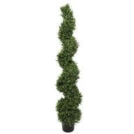 Rosemary Spiral Topiary Tree (Potted) | 5"