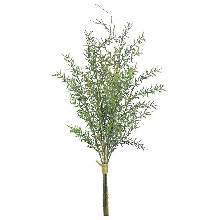 Seedling Rosemary & Twig Bundle