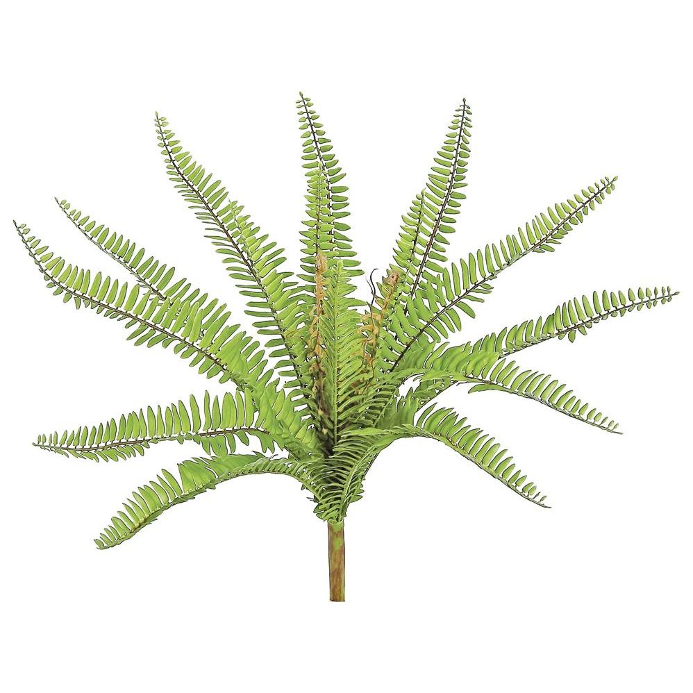 Narrow Fern | UV Proof