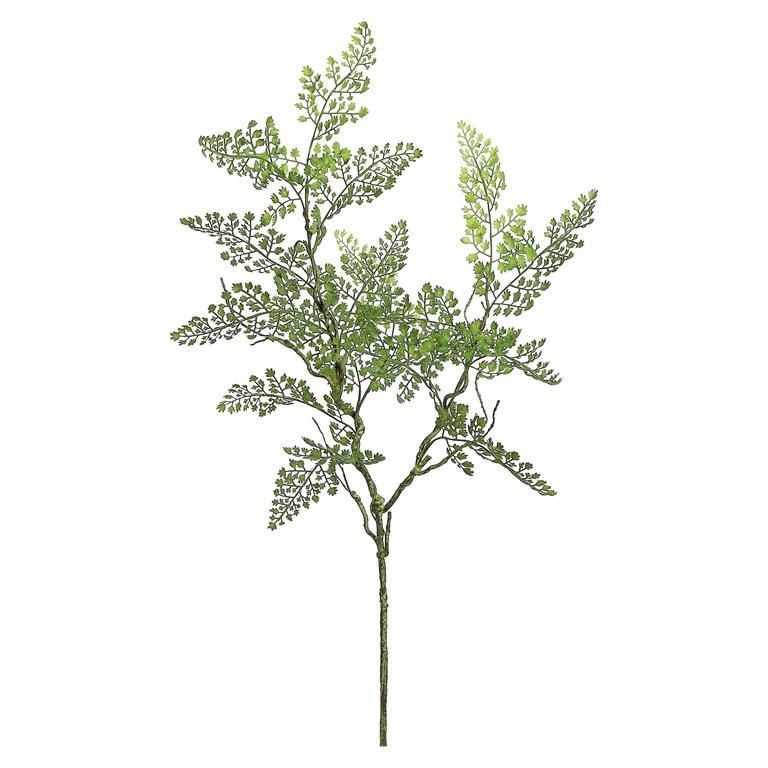 Maidenhair Fern Spray