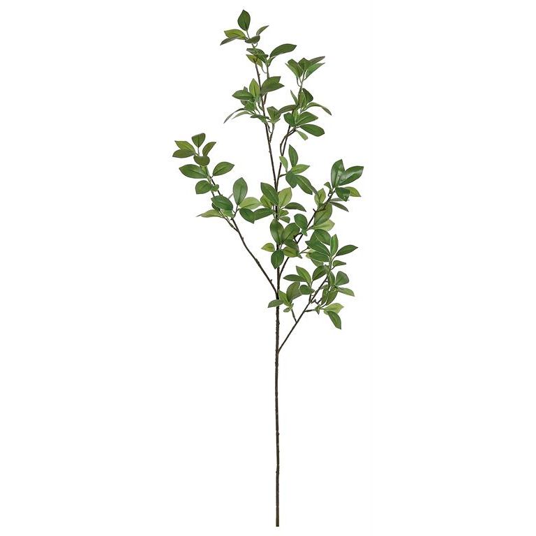 Mini Ficus Leaf Branch