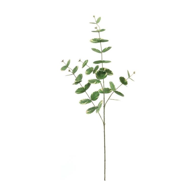 Money Plant Leaf Spray