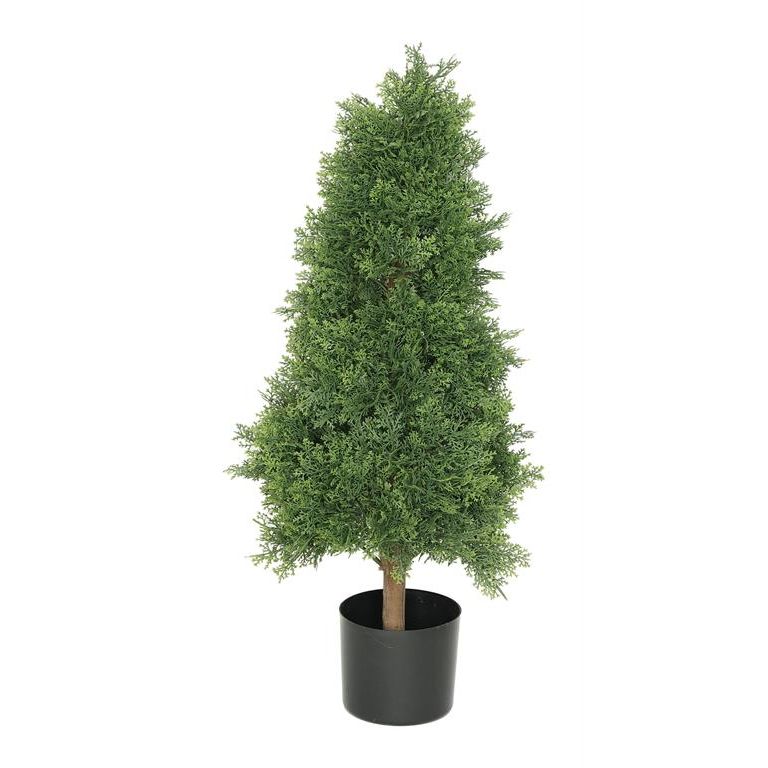 Cedar Tree (Potted) | UV