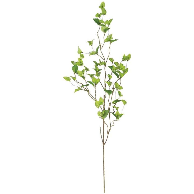 Jasmine Berry Spray | Green