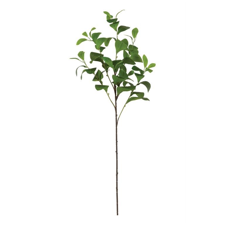 Paddle Leaf Spray