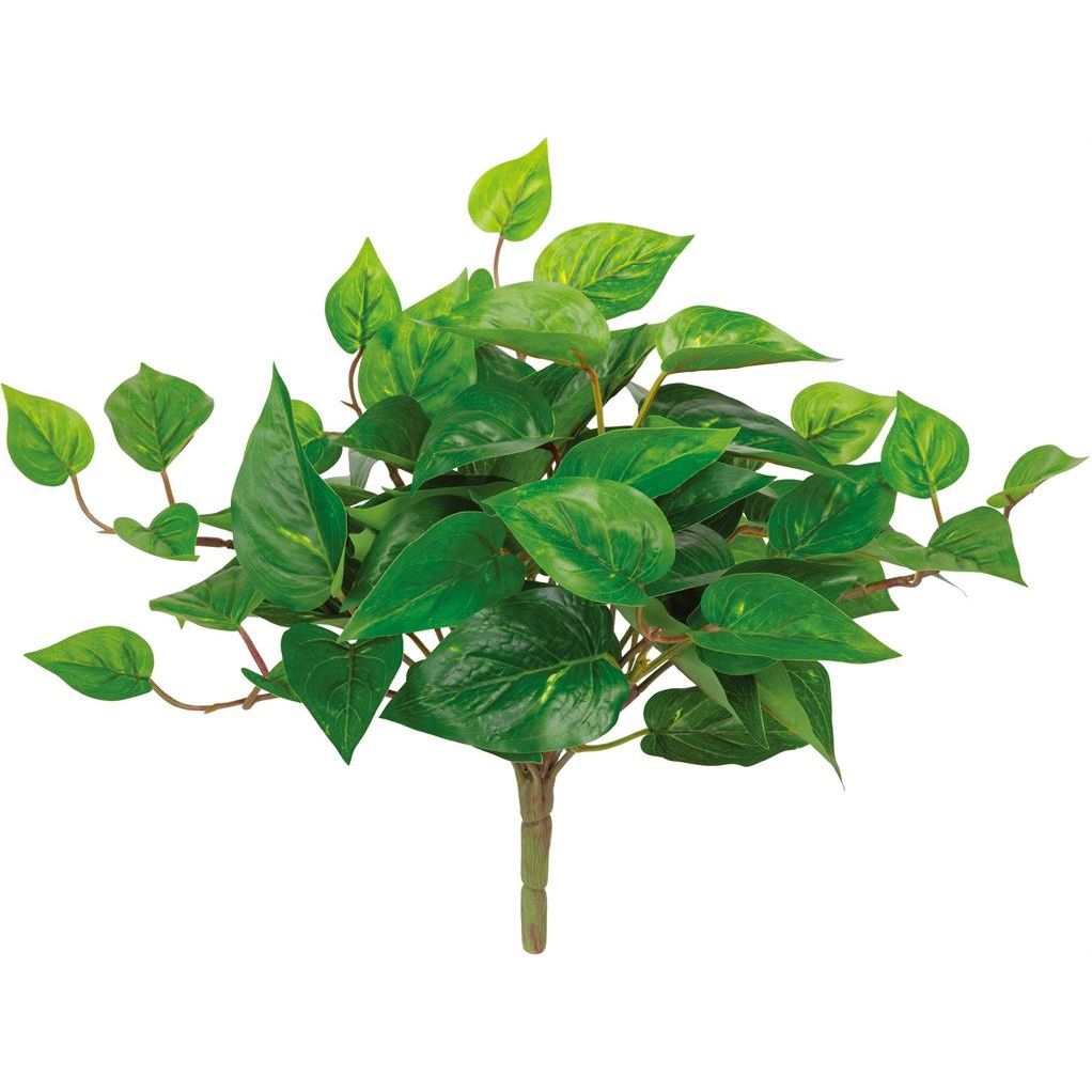 Pothos Bush- 13" | UV Proof