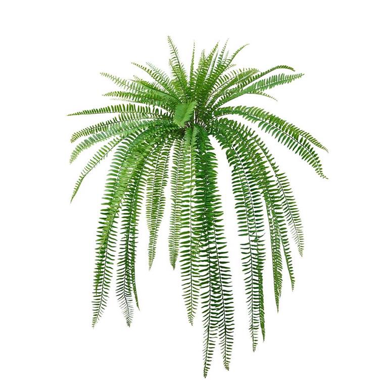 Boston Fern Bush w/63 Leaves | UV Proof
