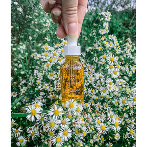 Antioxidant Serum