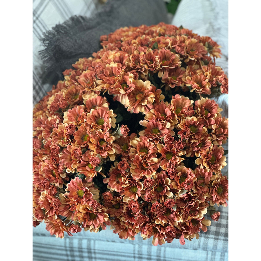 Autumn Zinnia Bush